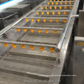 Fruit and vegetable washing and sorting machine